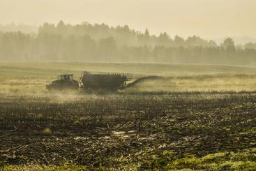 Na stanje populacije močno vpliva pretirano gnojene njivskih površin. (Foto: N. Prešeren).